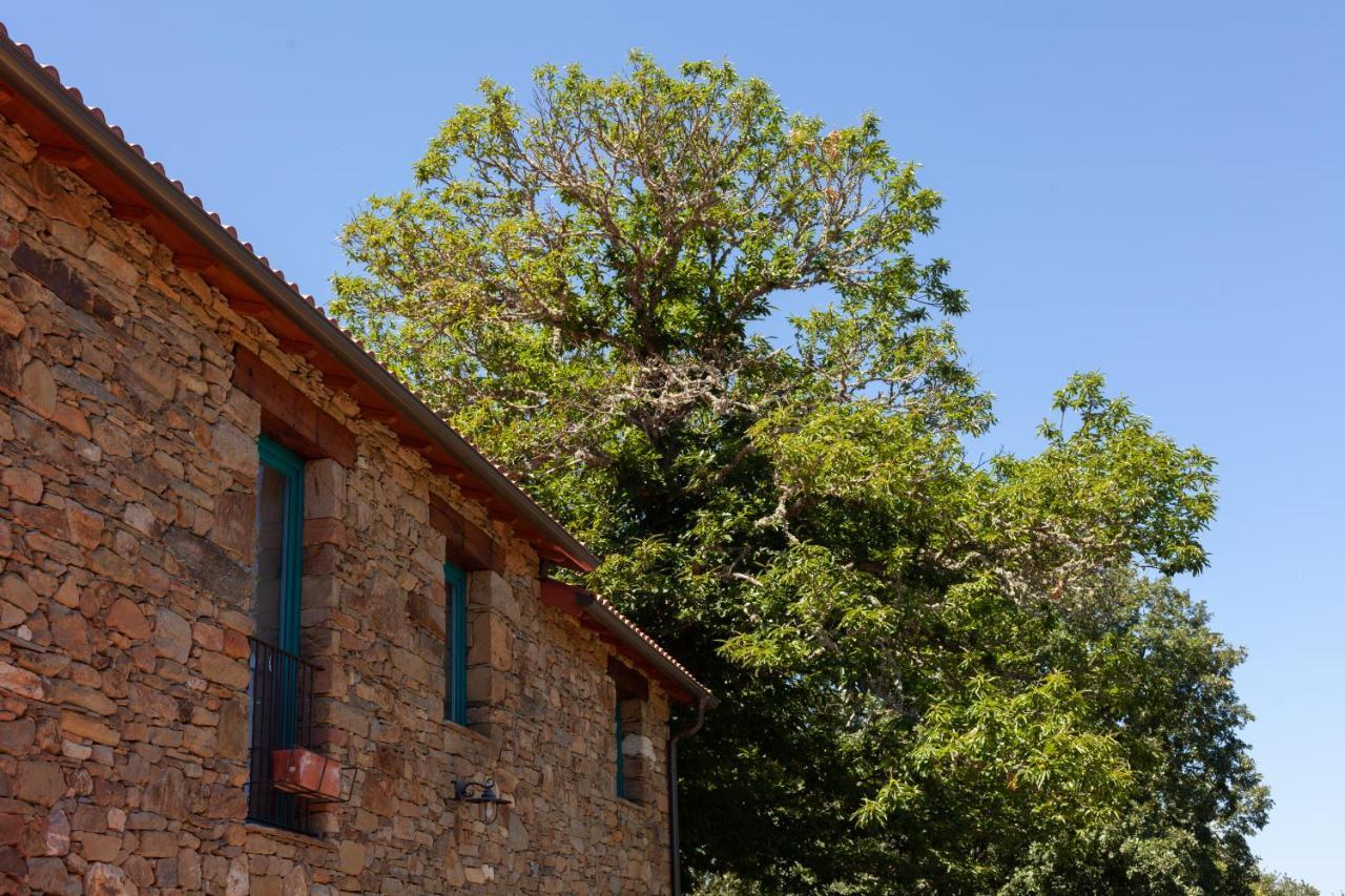 منزل الضيف Laza  في Casa Terra Alma المظهر الخارجي الصورة